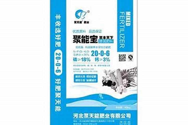 双硫基是什么意思