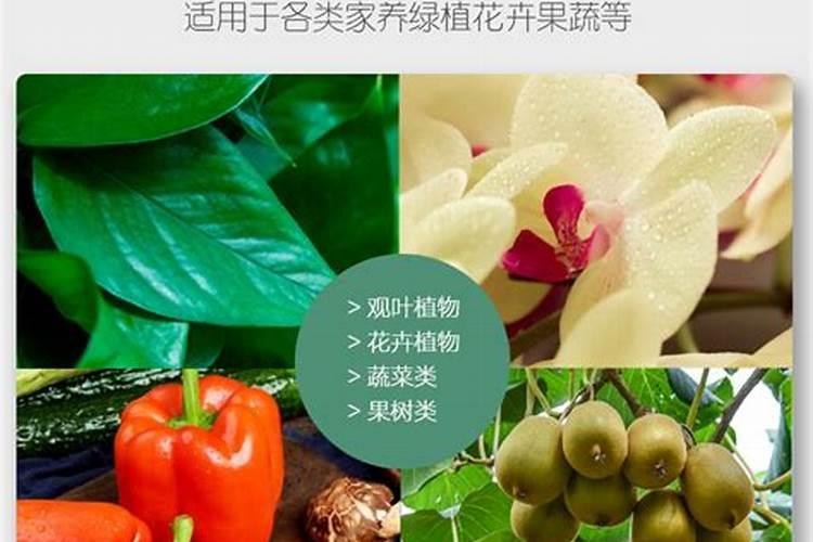 腐植酸和黄腐酸的区别