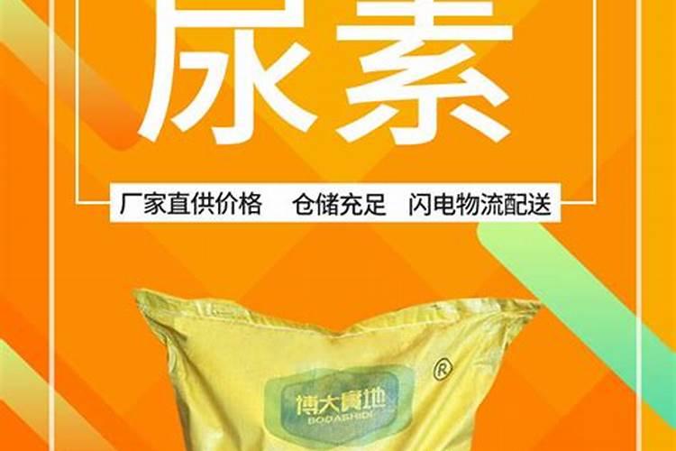 尿素属于什么类型的肥料