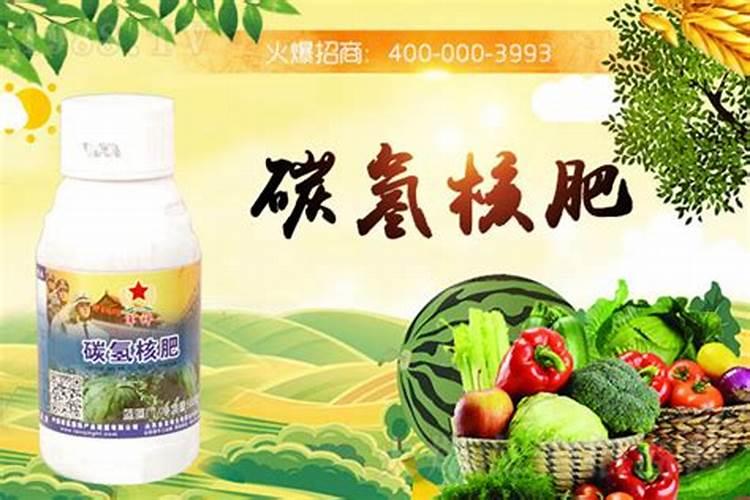 可以直接把菜叶菠萝皮啥的埋地里当肥料吗