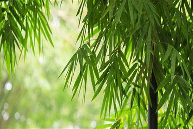 如何提升超声波振动筛的效率？