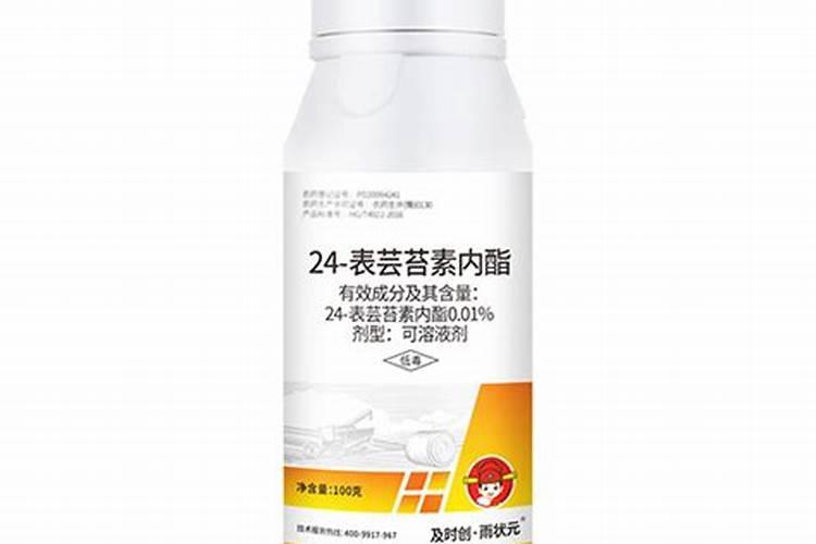 24一表芸三表芸是芸苔素吗