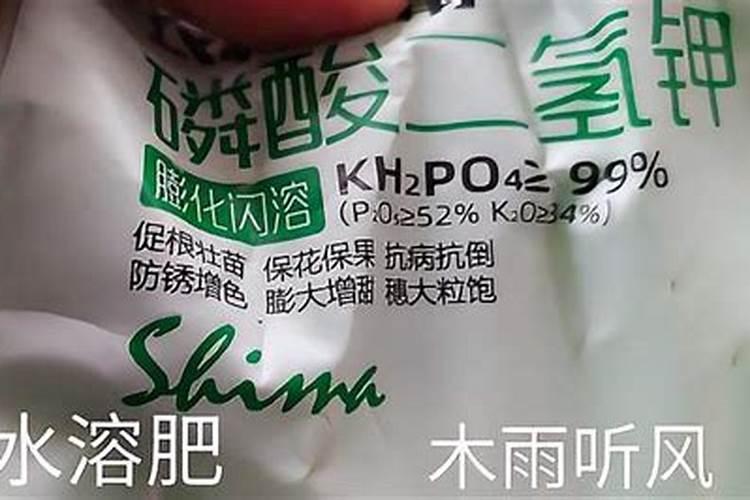 冷冻青刀豆行业研究,全球前10强生产商排名及市场份额