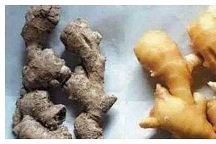 生姜水发酵后可以当肥料吗？