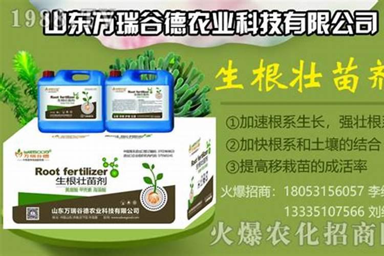 怎么做植物根系才发达