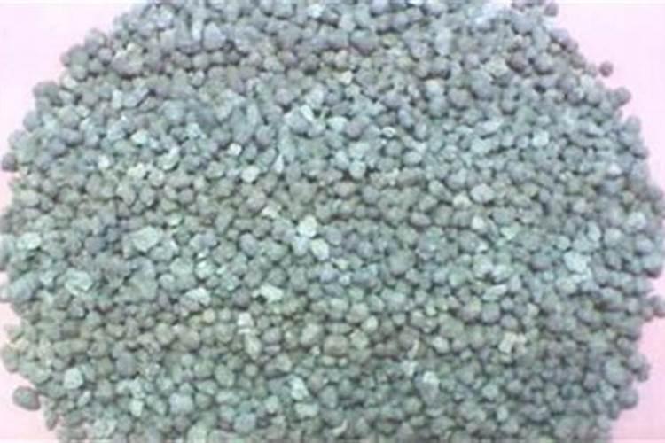 紫眉豆种植时间和方法