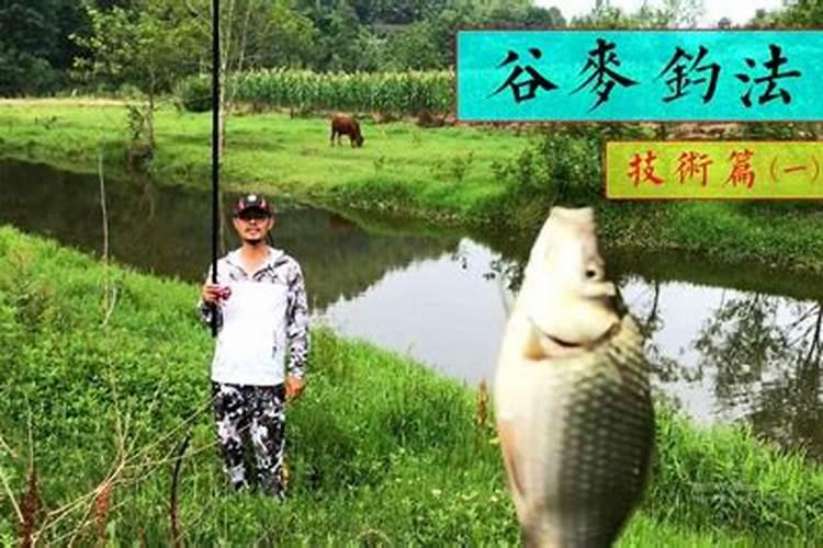 碳酶海藻鱼蛋白什么时候使用最好