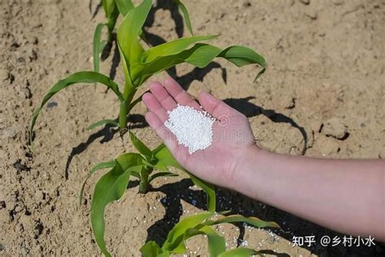玉米控释肥使用方法