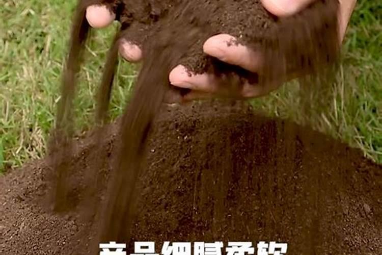 中国肥料哪家强？