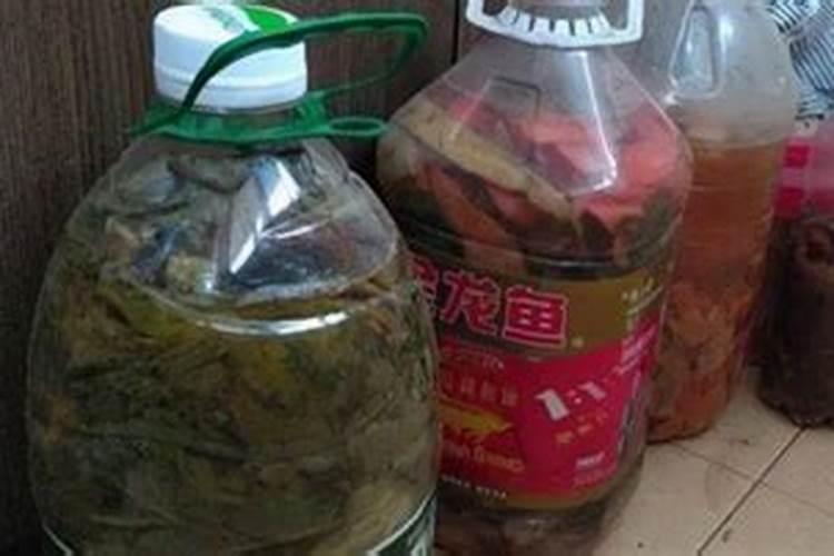 蔷薇花施什么肥最好