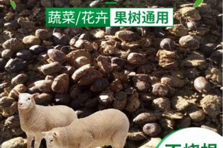 内蒙古力能肥业生物科技有限公司怎么样？