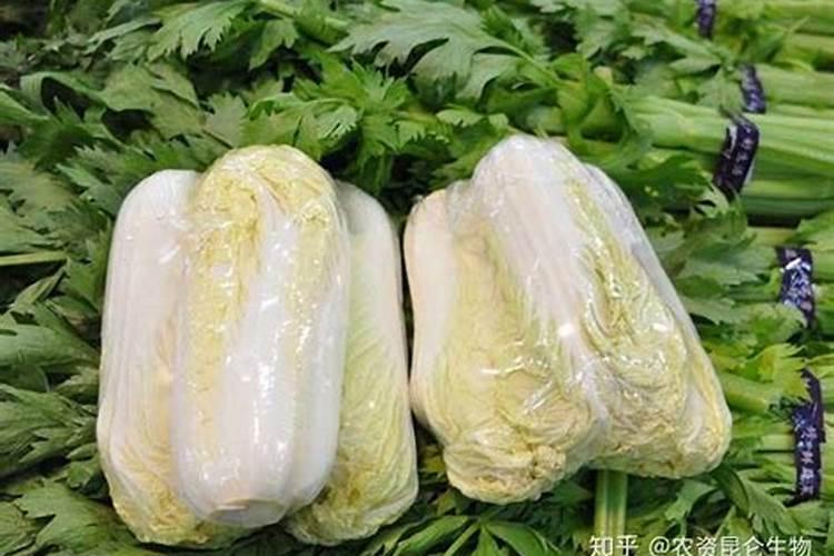 养花复合肥哪种好些 复合肥哪种好