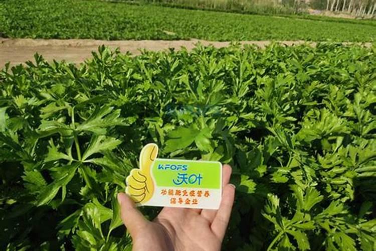 葡萄生根肥淘宝哪个品牌好