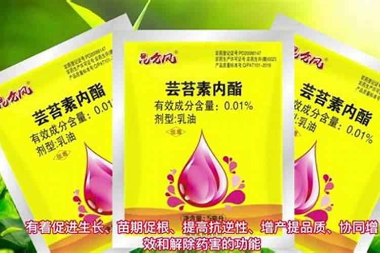 油菜施用硼肥三要点