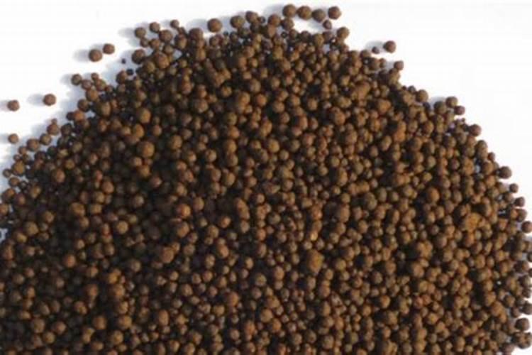 茉莉花最忌什么肥水肥料