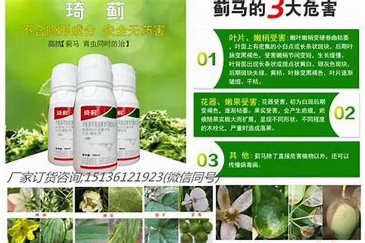 沃柑春天花期喷什么药,施什么肥？