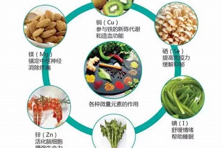 什么样的食物和水果含有大量的微量元素？