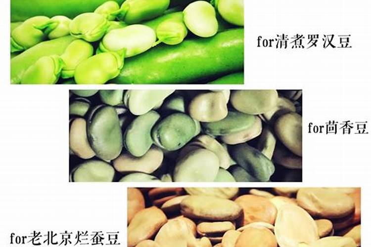 火龙果施肥用什么肥料 火龙果施肥用哪些肥料