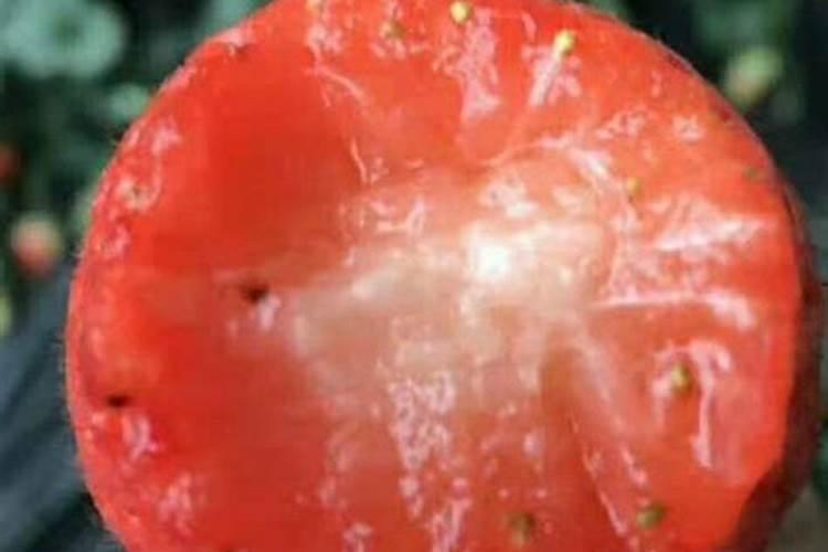 什么蔬菜可以补硒？