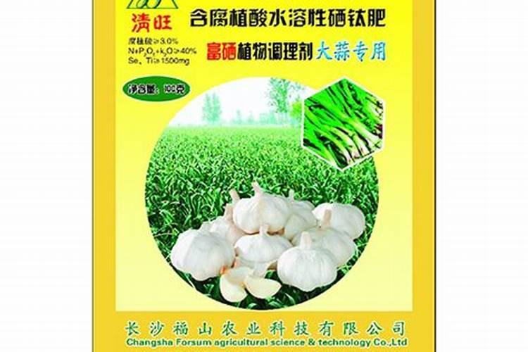 大蒜喷施什么蒜头最大？