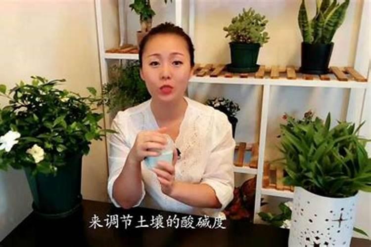 硫酸亚铁浇花多少克