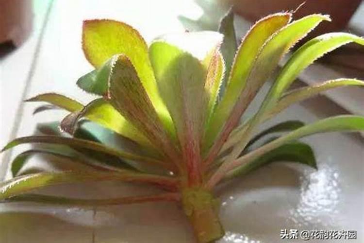 法师怎样才能爆多头