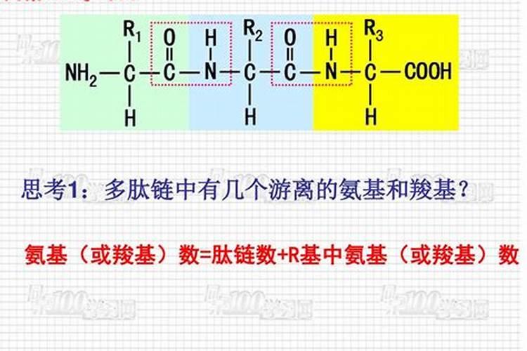 氨基酸水溶肥跟腐殖酸水溶肥区别在哪里