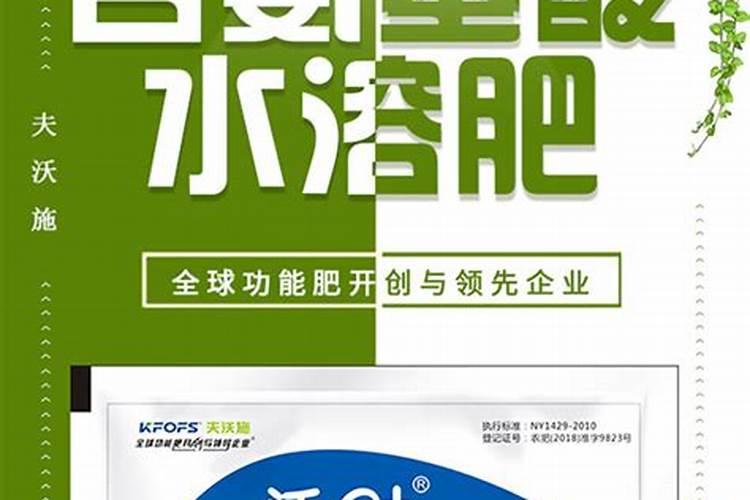菠菜种下后用不用马上浇水