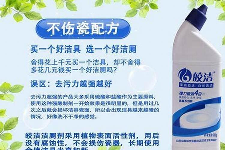 绿公主金钻适合在家里养吗