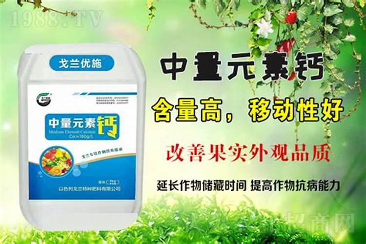 生物有机肥十大名牌