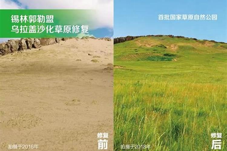 草原羊有机肥谁用过？怎么用啊？