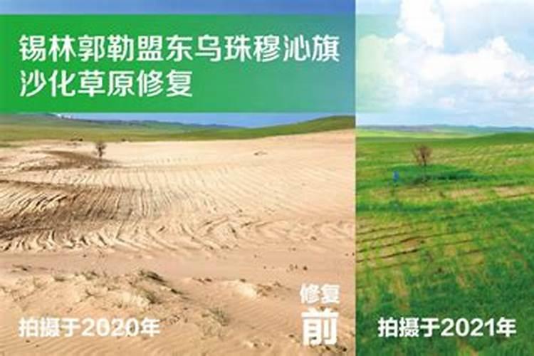 艾草上什么肥料？
