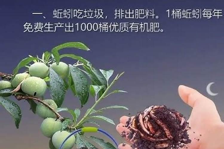 有机肥的制作方法