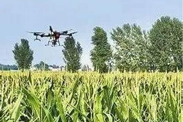 武汉肥冠生物科技有限公司怎么样？