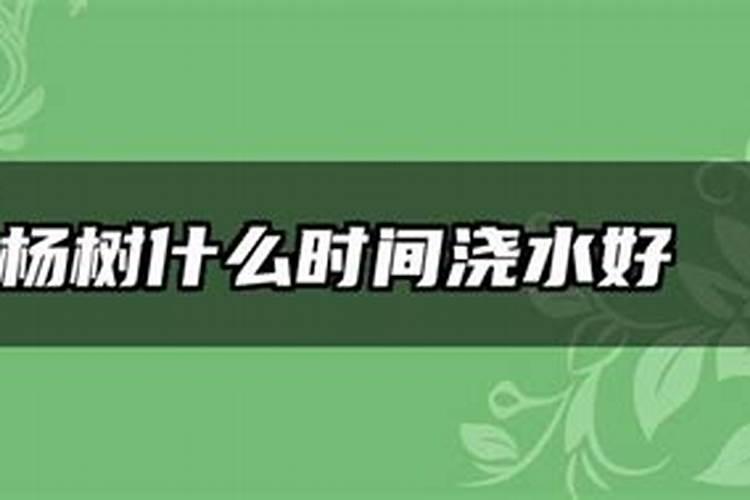 杨树什么时候施肥 杨树哪时候施肥比较好