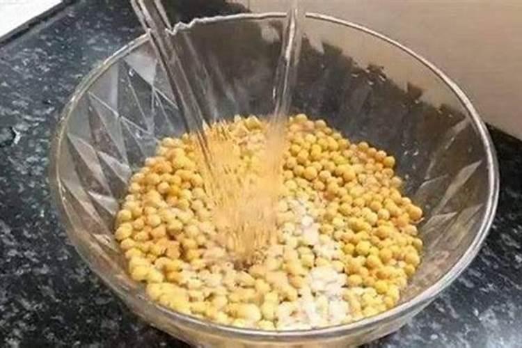花生豆类可以做种花的底肥吗？
