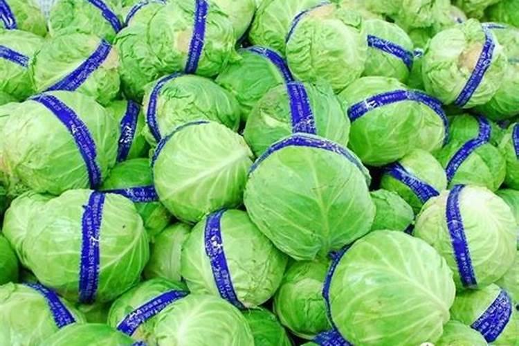 番茄的种植管理方法需要注意什么