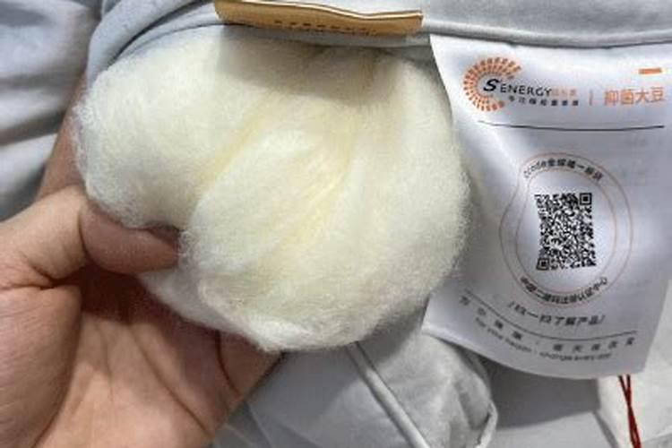 鱼白是什么？