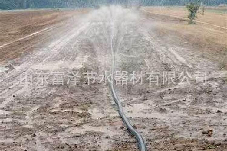 谷子喷完谷友除草剂后发黄怎么办