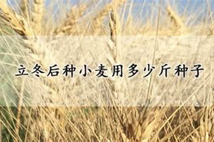 种小麦一亩地用多少复合肥