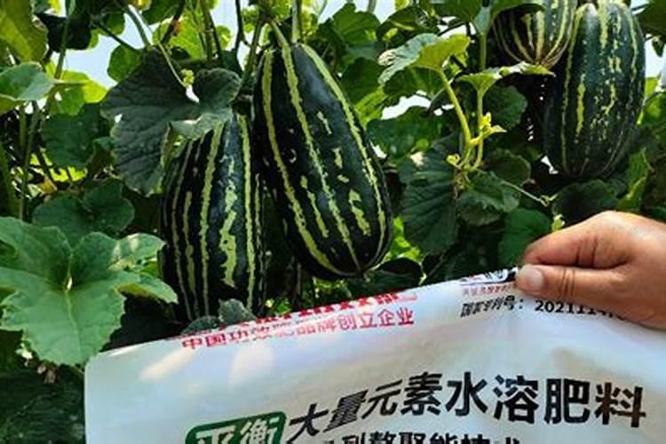水溶肥什么牌子靠谱？