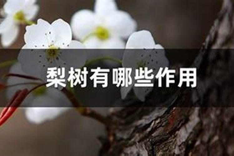 鱼蛋白叶面肥能和乙蒜素混用吗？