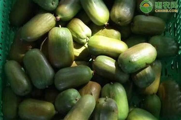 材料化学氯化钠晶体中掺氯化钾,会产生什么缺陷？