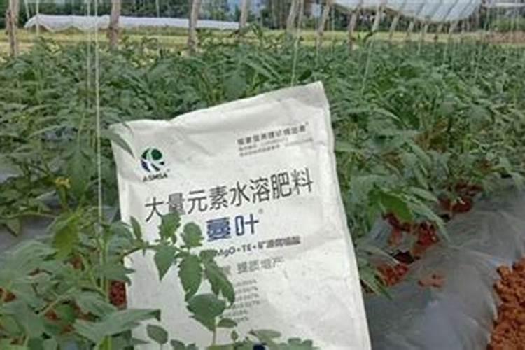 自制水溶肥配方比例