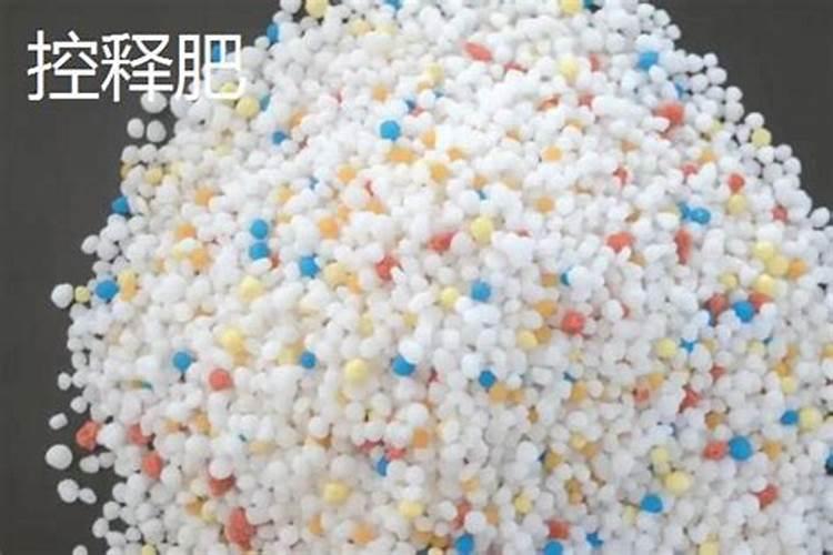 水溶肥一般几天见效