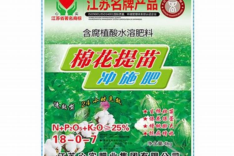 棉花是花吗？