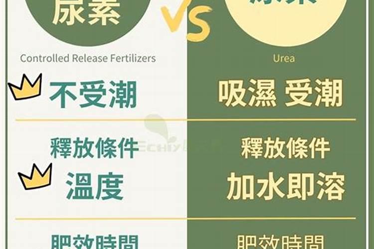 北方榨菜种植时间