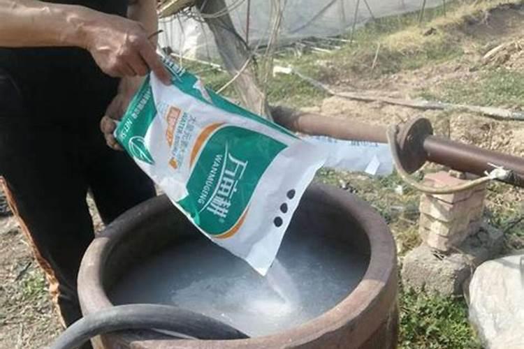 什么是铵态氮肥？