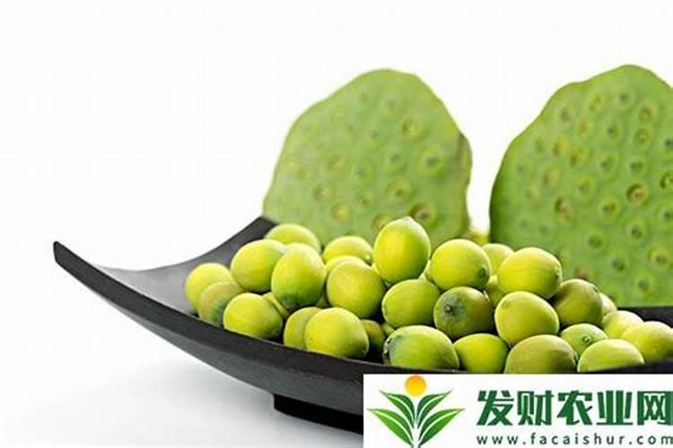 种植莲子需要用硫酸钾型复合肥还是用氯化钾型复合肥
