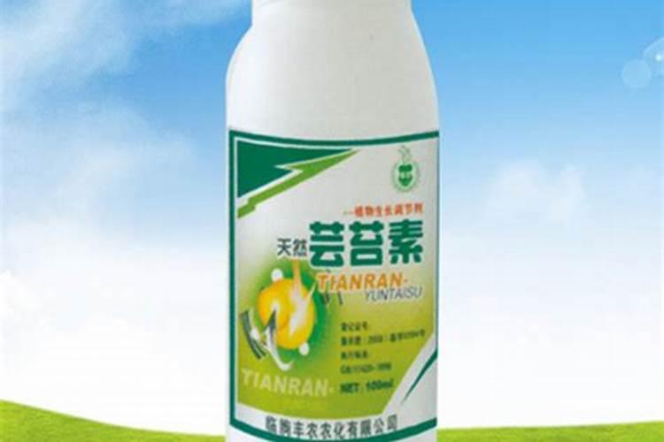 硕丰芸苔素对甜瓜秧生长的好处？